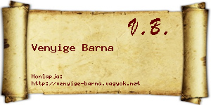 Venyige Barna névjegykártya